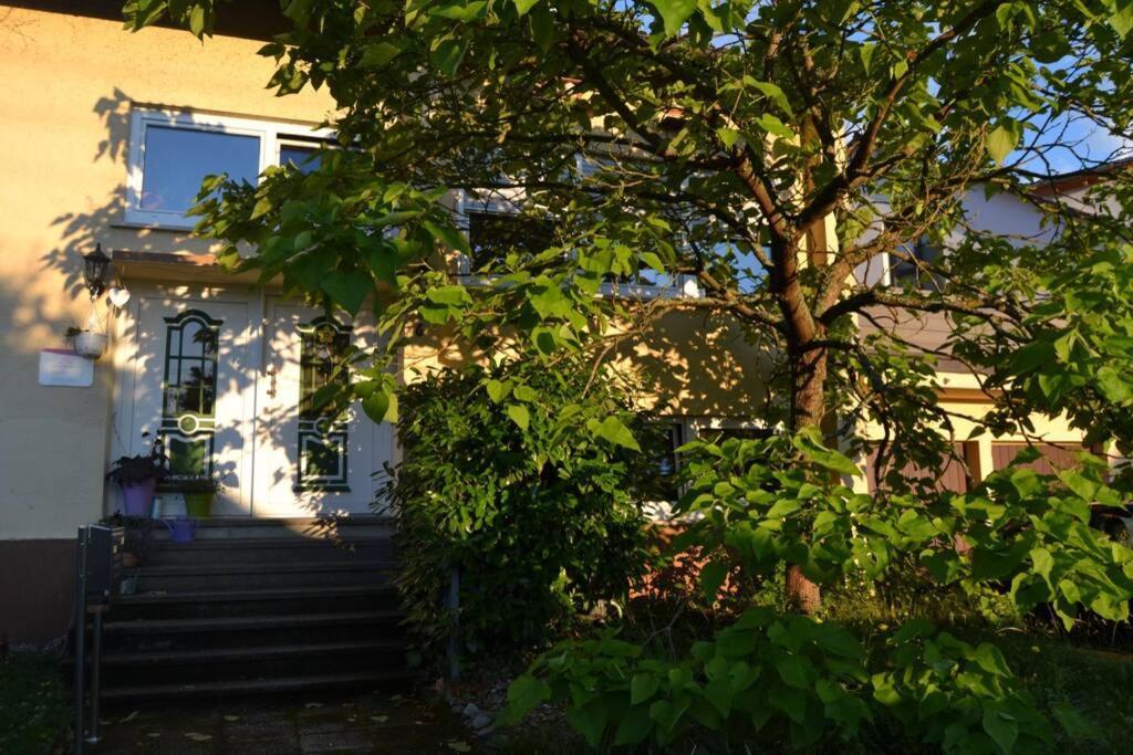 Maison Madlene Frickenhausen  Exterior photo